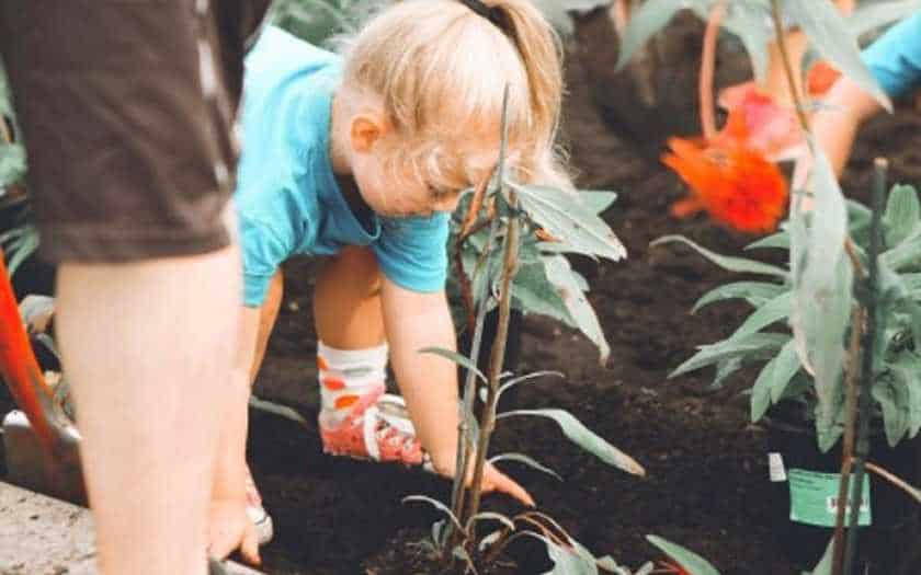 como ensinar valores para crianças através da jardinagem