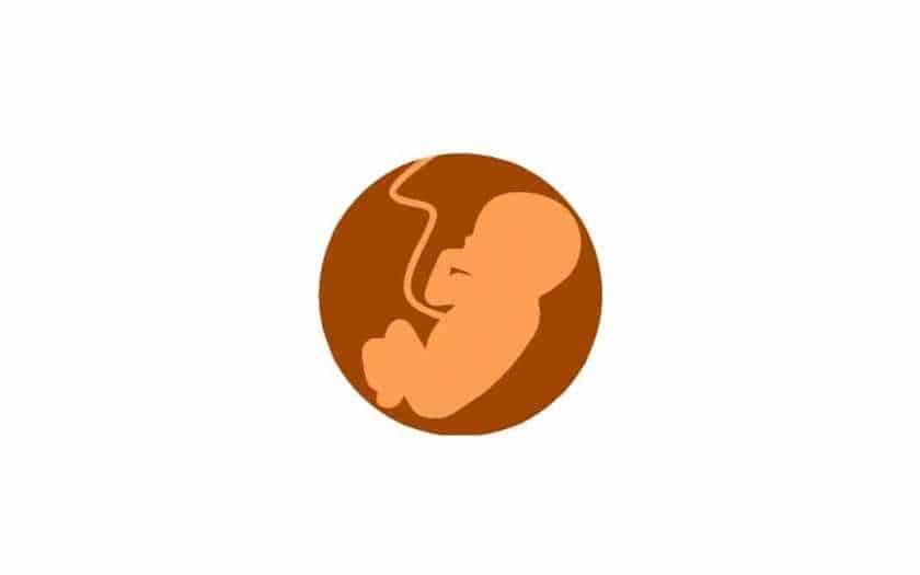 cuidados devem ser tomados após a transferência de embriões